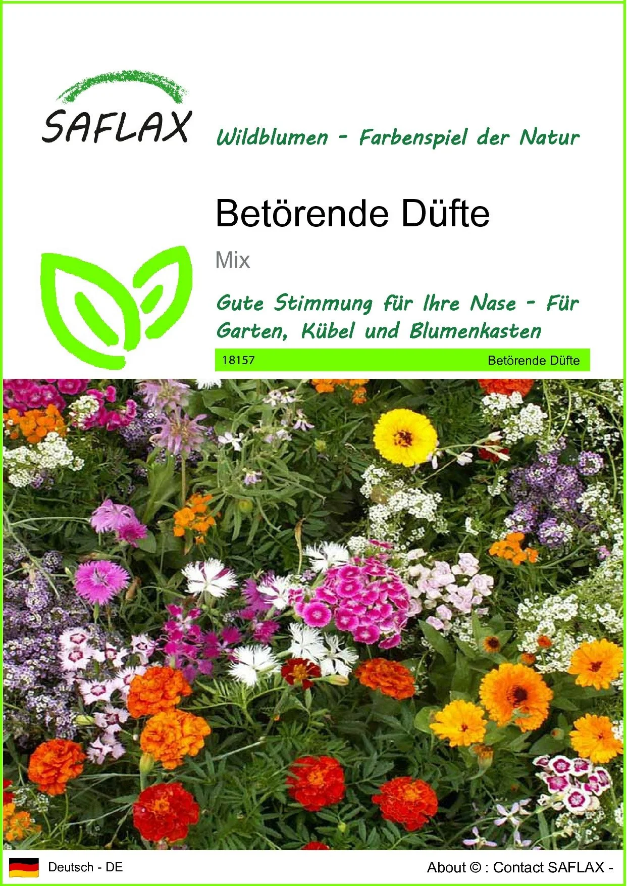 SAFLAX Blumensamen Betörende Düfte
