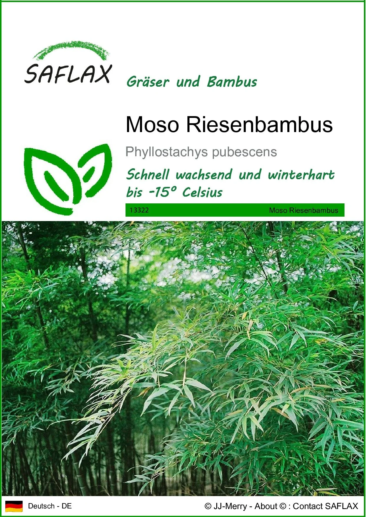 SAFLAX Moso Riesenbambus Samen