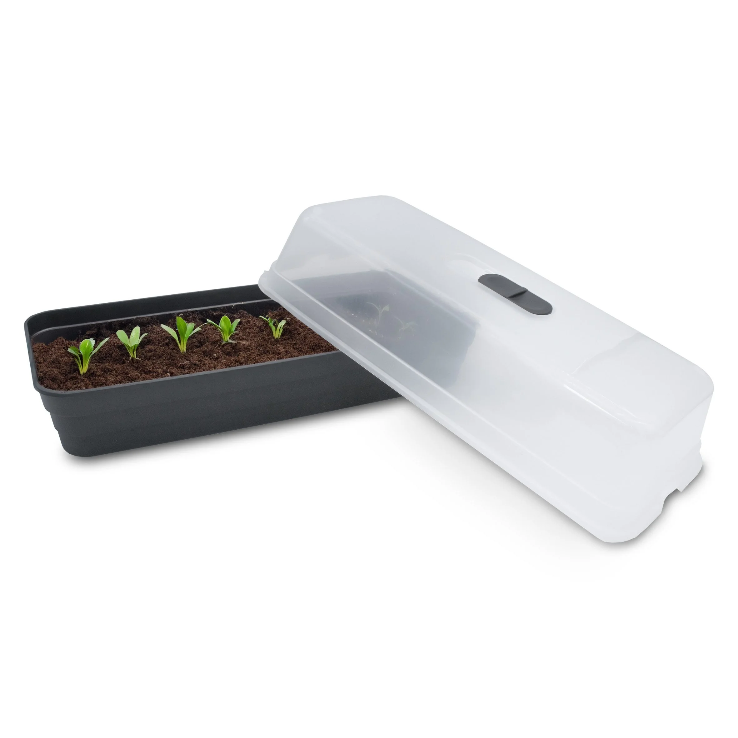 SPETEBO Fensterbank Gewächshaus mit Deckel 51 x 23 cm