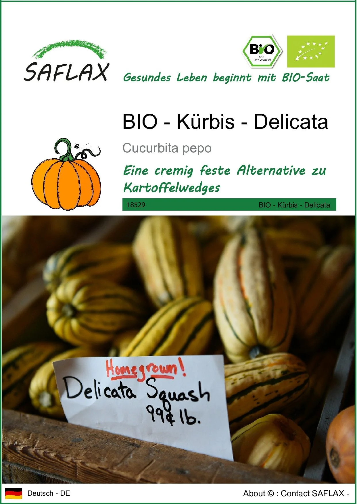 SAFLAX Bio Kürbis Delicata Gemüsesamen