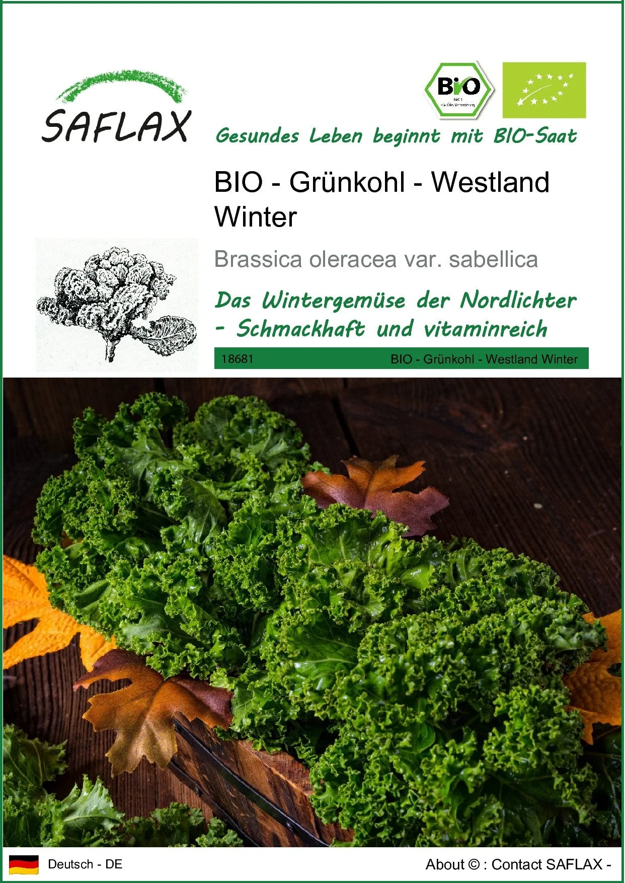 SAFLAX Gemüsesamen BIO Grünkohl Westland Winter